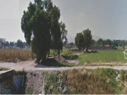 Terreno para Venta en Teoloyucán - 4