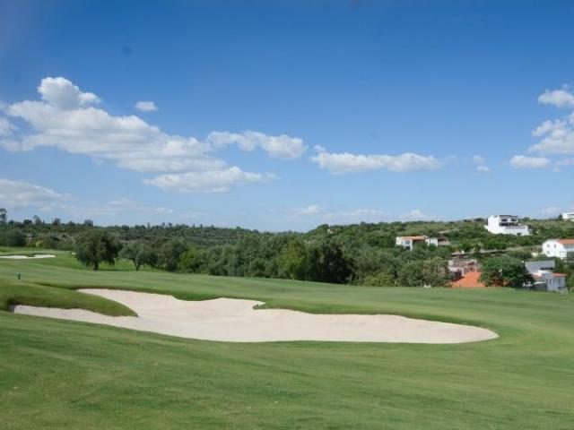 Área para Venta en Tepeji del Río de Ocampo - 4
