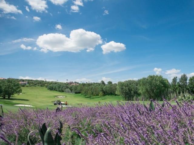 Área para Venta en Tepeji del Río de Ocampo - 5