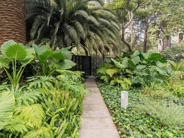 Departamento para Alquiler en Cuauhtémoc - 2