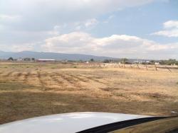 #218 - Terreno para Venta en Teoloyucán - MC - 2