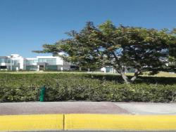 Casa para Alquiler en Querétaro - 4