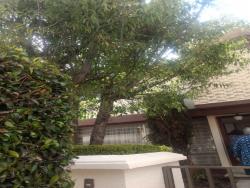 Casa para Alquiler en Naucalpan de Juárez - 3