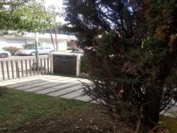 Casa para Alquiler en Naucalpan de Juárez - 4